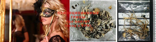 PSILOCYBIN Алексин