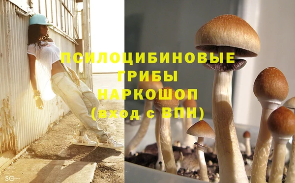 PSILOCYBIN Алексин